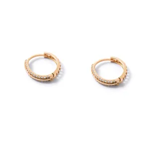 Nakisa Hoop Earring